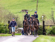 AK060423-5 - Horses coming from warm up